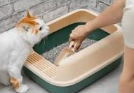 litter box cleaningr