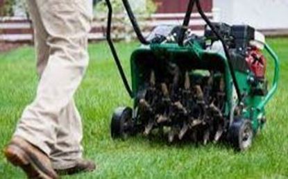 Lawn aerating