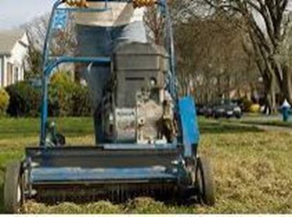 lawn dethatching