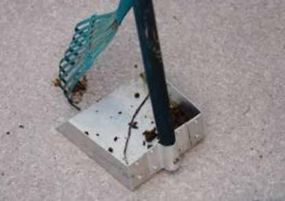 Pet Waste Removal
