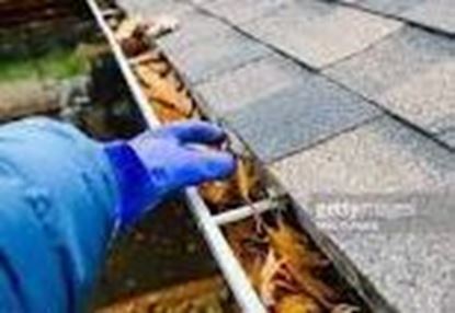 Gutter Cleaning