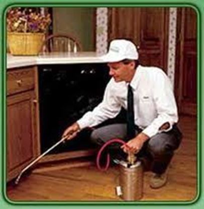 Outdoor Pest Control