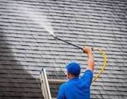 Roof Cleaning